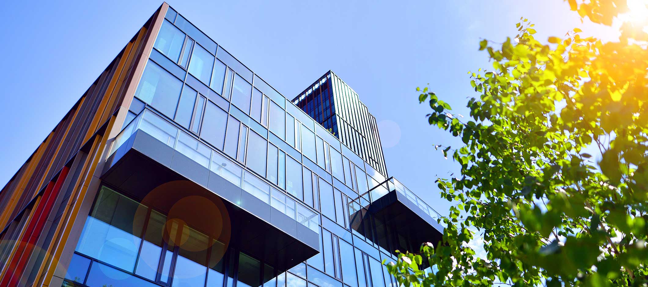 Manager Intelligence and Market Trends - August 2024