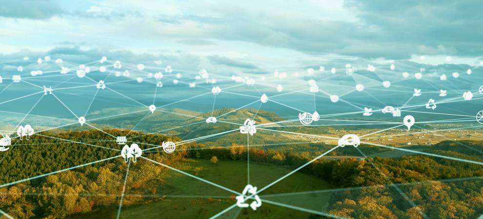 Carbon Trading Strategies: Sector in Brief